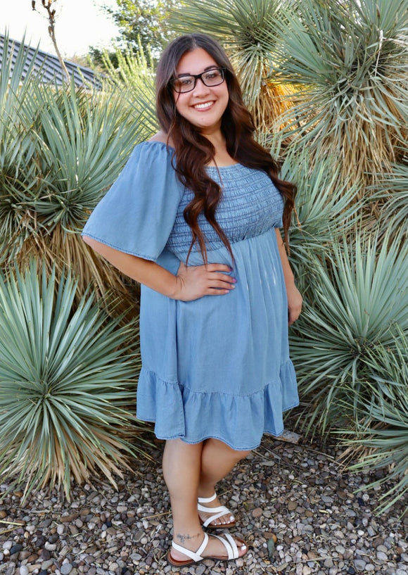 Beth Denim Dress